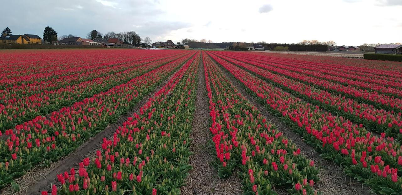 De Wagen Hotel Egmond-Binnen Kültér fotó